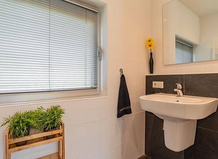 Verblijf 5903509 - Vakantiewoning Noord-Beveland - Zwaluw aan Zee