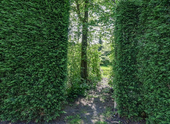 Unterkunft 5903510 - Ferienhaus Noord-Beveland - Zilte Iep