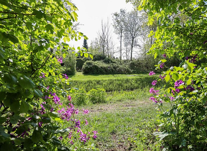 Unterkunft 5903510 - Ferienhaus Noord-Beveland - Zilte Iep
