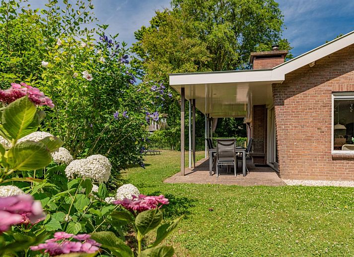 Unterkunft 5903516 - Ferienhaus Noord-Beveland - Duinvink