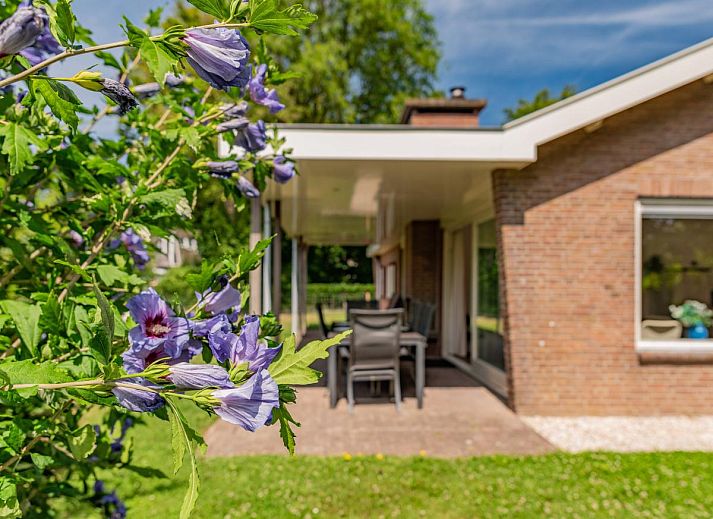 Unterkunft 5903516 - Ferienhaus Noord-Beveland - Duinvink