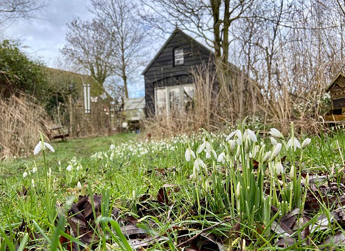 Verblijf 5903521 - Vakantiewoning Noord-Beveland - ZE1735