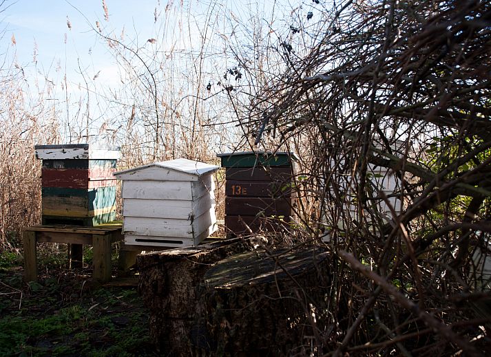 Verblijf 5903521 - Vakantiewoning Noord-Beveland - ZE1735