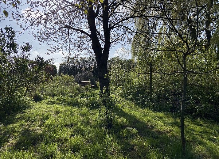 Verblijf 5903521 - Vakantiewoning Noord-Beveland - ZE1735