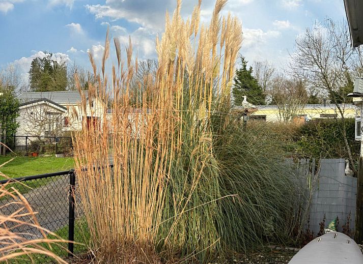 Guest house 5903551 - Holiday property Noord-Beveland - Vakantiehuis RBR 1342 - Beach Resort Kamperland