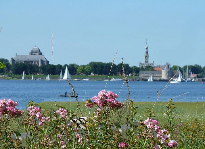 Guest house 5903557 - Holiday property Noord-Beveland - Havenweg 9 | Havenweg 