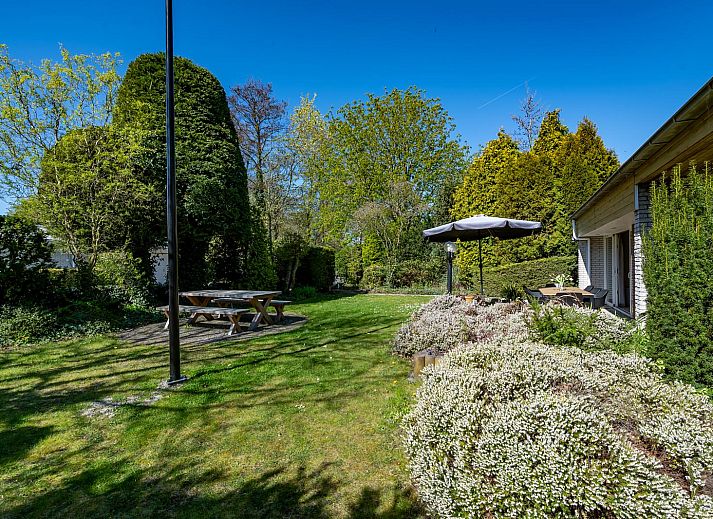 Unterkunft 5903577 - Ferienhaus Noord-Beveland - Wilgenlaan 1 | Ruiterplaat