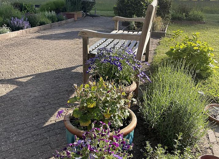 Verblijf 5903581 - Vakantiewoning Noord-Beveland - Havenweg 24 | Havenweg