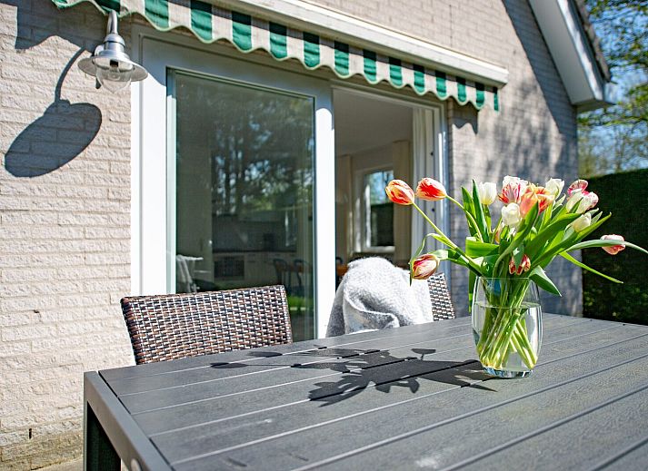 Unterkunft 5903593 - Ferienhaus Noord-Beveland - Fazantenlaan 2b | De Banjaard