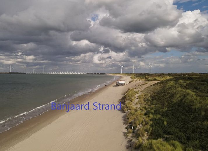 Stylish vacation home in Kamperland with glass facades and spacious outdoor space in North Beveland, Zeeland.