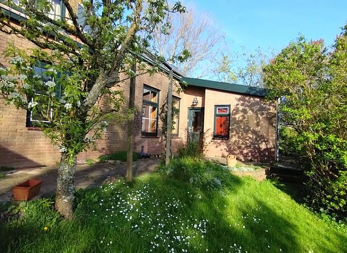 Ferienhaus in Kamperland, eine charmante Ferienwohnung in Noord-Beveland, Zeeland, umgeben von ueppiger Natur und einer sonnigen Terrasse.