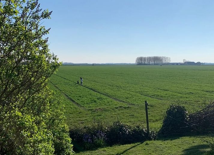 Ferienhaus in Kamperland, eine charmante Ferienwohnung in Noord-Beveland, Zeeland, umgeben von ueppiger Natur und einer sonnigen Terrasse.
