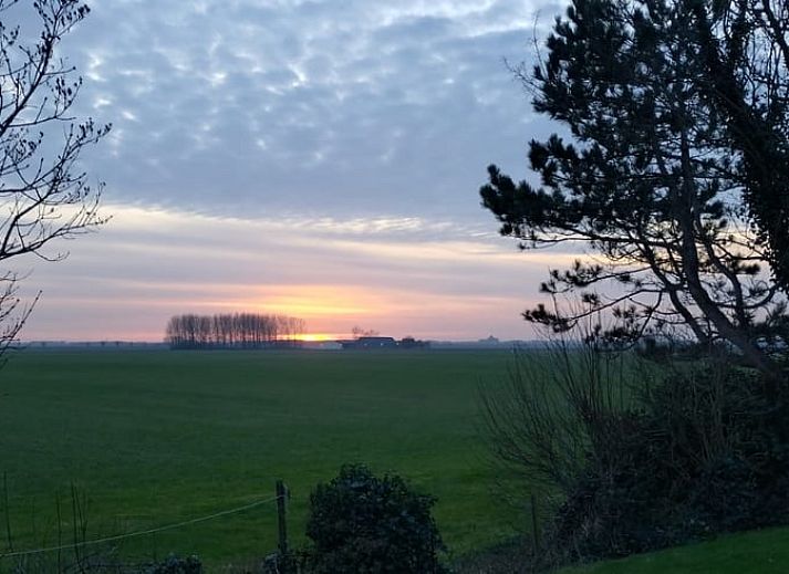 Ferienhaus in Kamperland, eine charmante Ferienwohnung in Noord-Beveland, Zeeland, umgeben von ueppiger Natur und einer sonnigen Terrasse.
