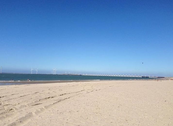 Blick auf weitlaeufige gruene Felder vom Ferienhaus in Kamperland, Noord-Beveland, Zeeland, ideal fuer Naturliebhaber.