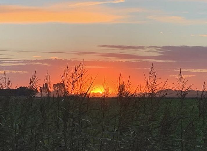 Geniessen Sie den ruhigen Sonnenuntergang im Ferienhaus in Kamperland, umgeben von der weitlaeufigen Natur in Noord-Beveland, Zeeland.