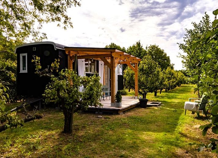 Vakantiehuis in Kortgene omringd door groene natuur, perfect voor een ontspannen verblijf in Noord-Beveland, Zeeland.