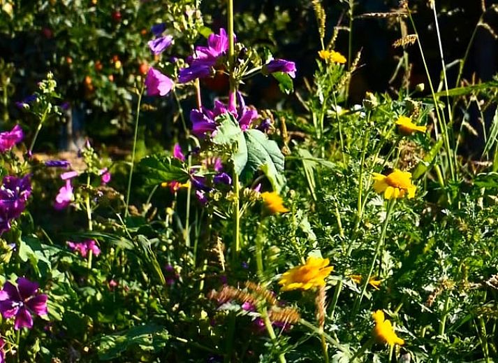 Gezellige binnenruimte van Vakantiehuis in Kortgene, Noord-Beveland, met een knusse eethoek voor een ontspannen verblijf in Zeeland.
