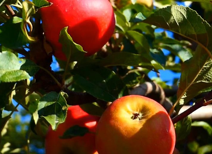 Gezellige keuken en eetruimte in Vakantiehuis in Kortgene, Noord-Beveland, ideaal voor een ontspannen verblijf in Zeeland.