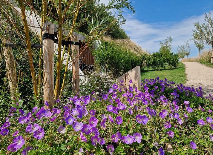 Guest house 590422 - Holiday property Noord-Beveland - Vakantiehuisje in Kortgene