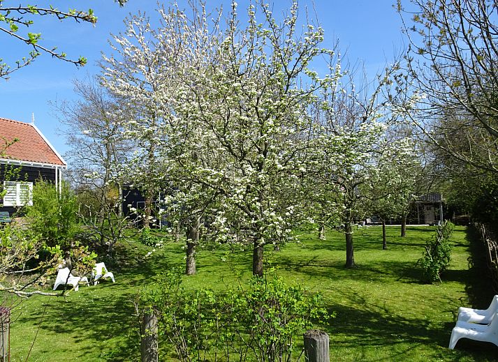 Guest house 590516 - Holiday property Noord-Beveland - ZE1511