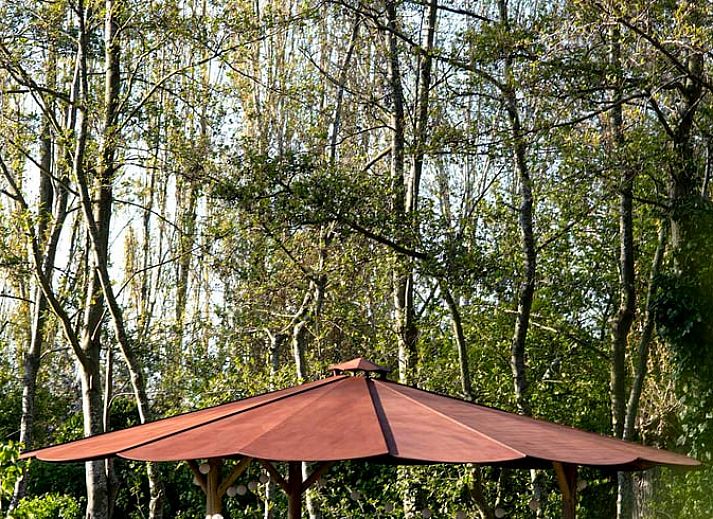 Guest house 590604 - Holiday property Noord-Beveland - Huisje in Kats