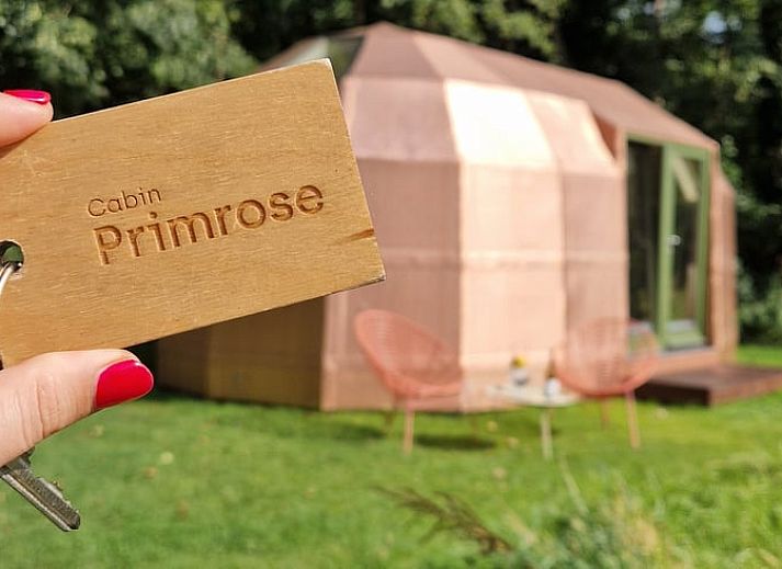 Guest house 590604 - Holiday property Noord-Beveland - Huisje in Kats