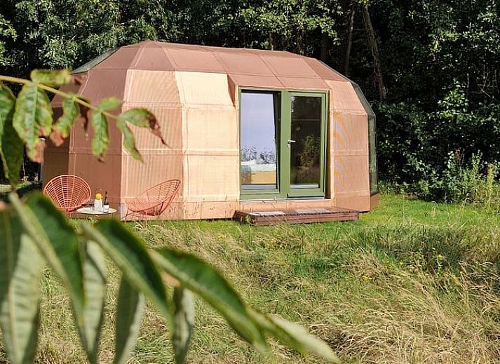 Guest house 590604 - Holiday property Noord-Beveland - Huisje in Kats