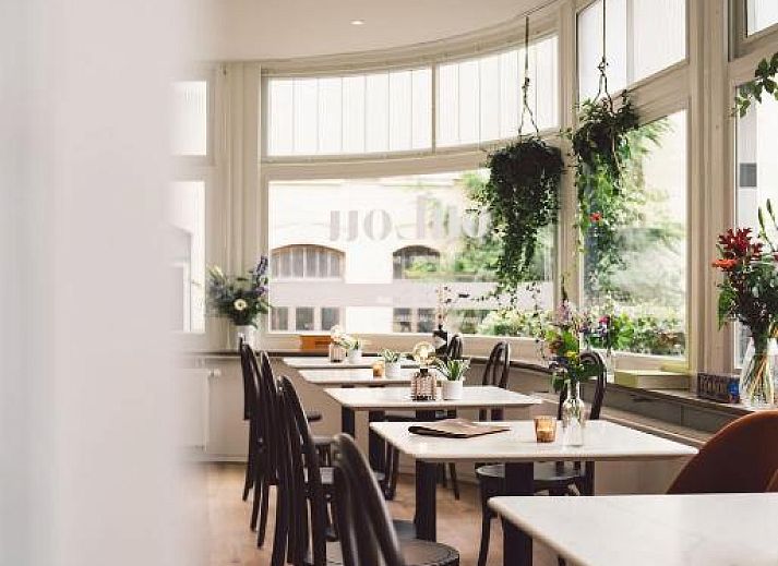 Guest house 593905 - Bed and Breakfast Zuid Limburg - Saga and More B&B Brasserie