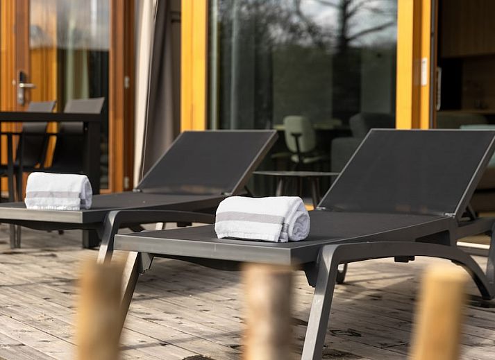 Guest house 600107 - Holiday property Schouwen-Duiveland - Pets Lodge 4