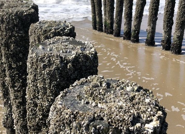 Gemuetlicher Kamin in der Villa Village, Scharendijke, ideal fuer Entspannung in diesem Ferienhaus in Zeeland.