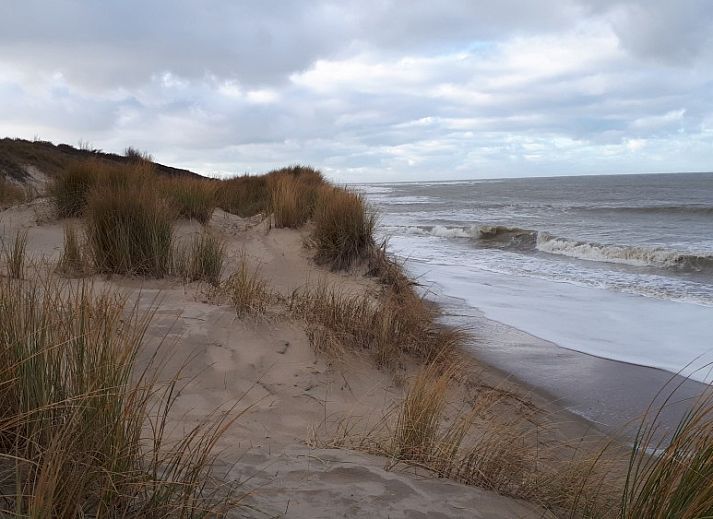 Gemuetliches Wohnzimmer von Strand 97 in Scharendijke, Schouwen-Duiveland, mit viel Licht und Blick auf die gruene Umgebung.