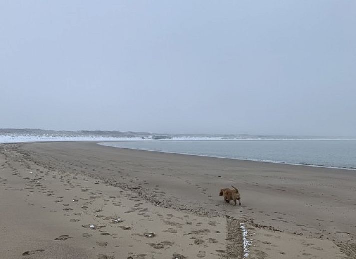 Grevelingenhof vacation home in Scharendijke with green garden and modern architecture, Schouwen-Duiveland, Zeeland.