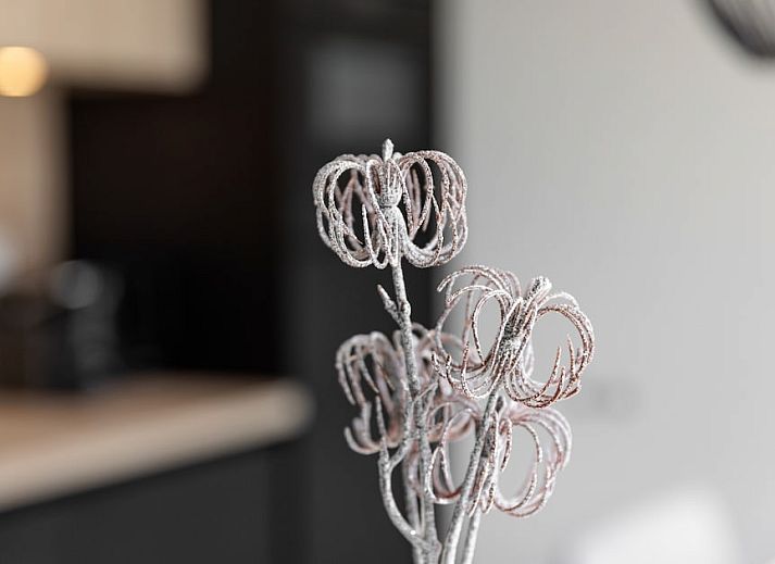 Veranda of Lodge 6, a modern vacation home in Scharendijke, Schouwen-Duiveland, Zeeland, overlooking green surroundings.