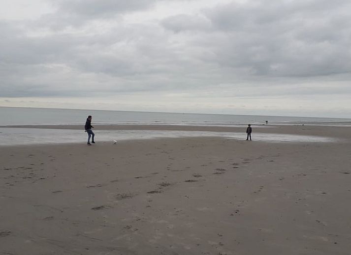 Verblijf 600126 - Vakantiewoning Schouwen-Duiveland - Vakantiehuis in Scharendijke