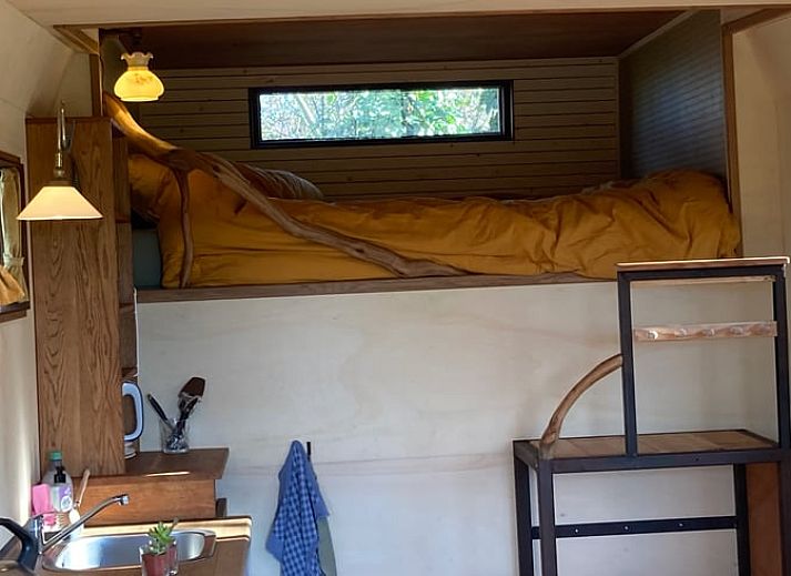 Unterkunft 600312 - Ferienhaus Schouwen-Duiveland - Huisje in Zierikzee