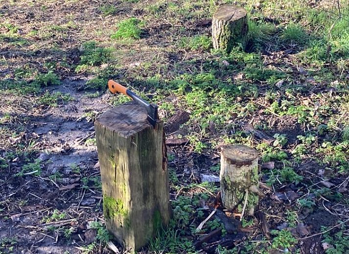 Unterkunft 600312 - Ferienhaus Schouwen-Duiveland - Huisje in Zierikzee