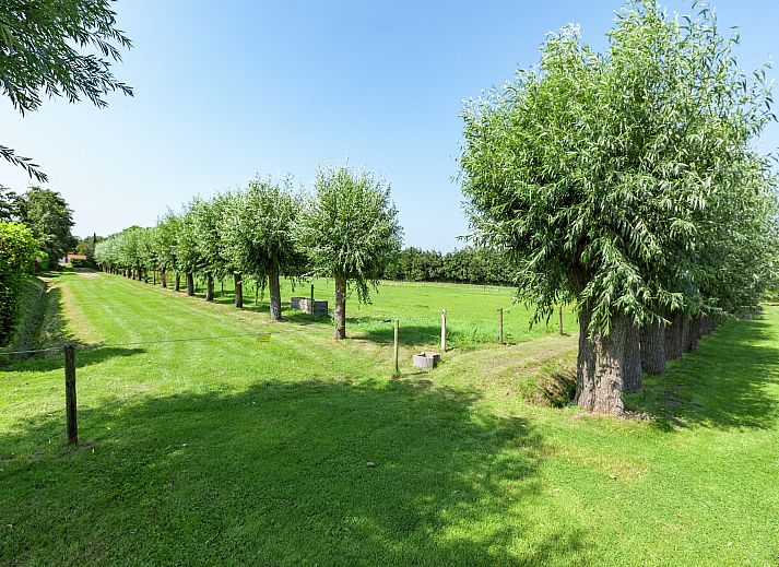 Unterkunft 600403 - Ferienhaus Schouwen-Duiveland - Black
