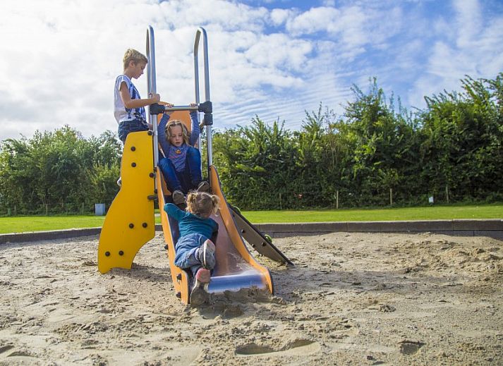 Guest house 600407 - Chalet Schouwen-Duiveland - Camping de Duinhoeve