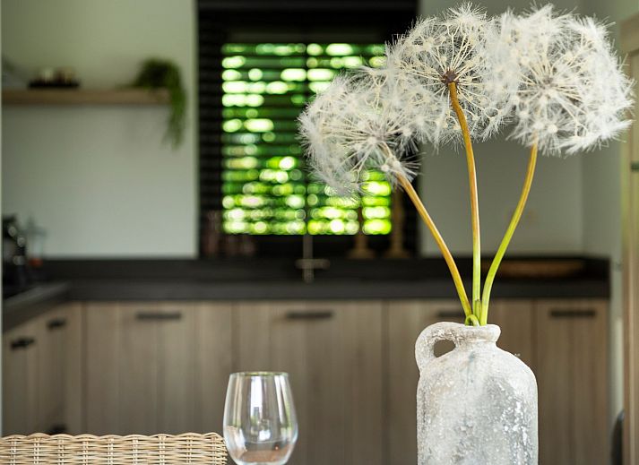 Zonnige tuin van Vakantievilla Paardenbos 5 in Burgh-Haamstede, ideaal voor ontspanning op Schouwen-Duiveland.