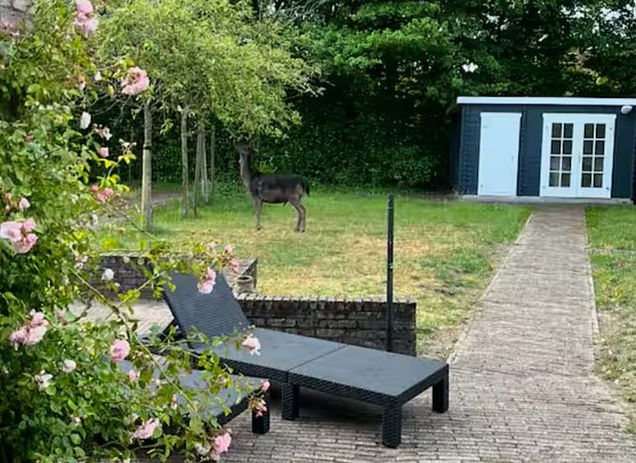 Unterkunft 600417 - Ferienhaus Schouwen-Duiveland - Vakantiewoning Schouwse Duin 13