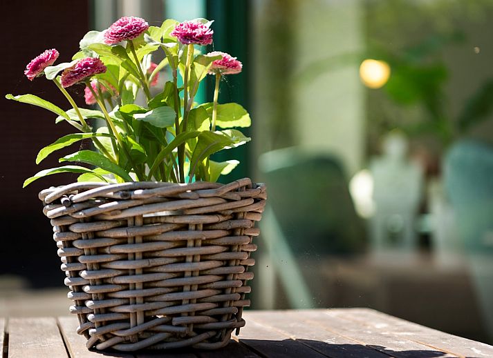 Moderne woonkamer met open haard in Vakantiewoning Zeepe Duinen 17, De Kreeft, Burgh-Haamstede, ideaal voor ontspanning.