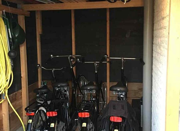 Guest house 600427 - Holiday property Schouwen-Duiveland - ZE186