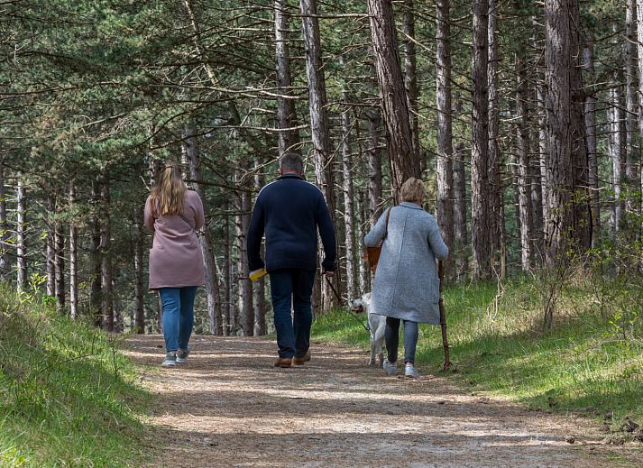 Guest house 600427 - Holiday property Schouwen-Duiveland - ZE186