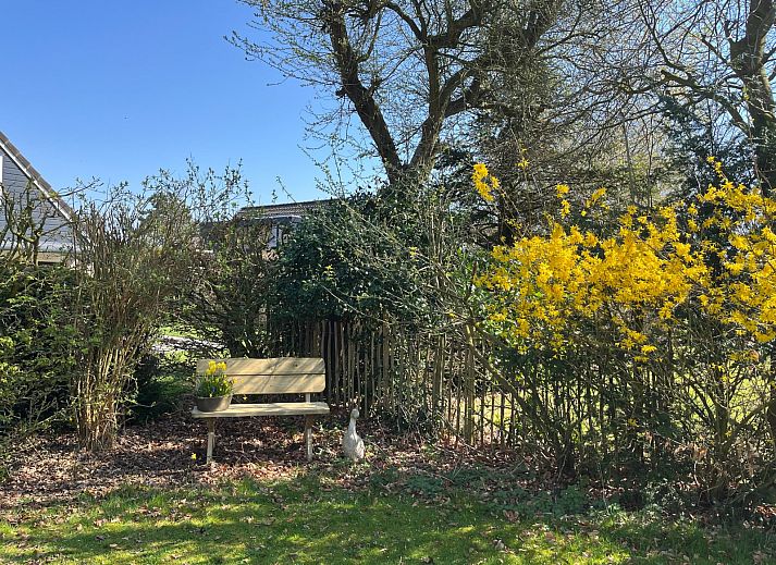 Guest house 600427 - Holiday property Schouwen-Duiveland - ZE186