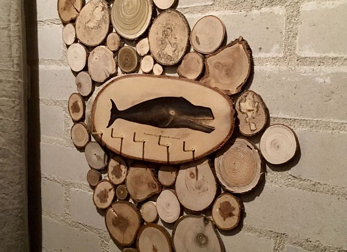 Guest house 600427 - Holiday property Schouwen-Duiveland - ZE186