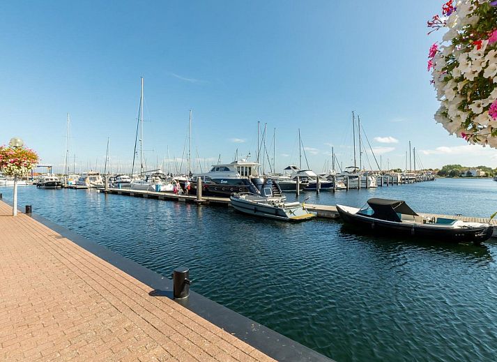 Verblijf 600444 - Vakantiewoning Schouwen-Duiveland - Vakantiehuis Zonenvlinder