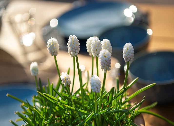 Enjoy a sunny terrace at Vakantiewoning Schouwse Duin 27 "l'Ancora" in Burgh-Haamstede, perfect for outdoor dining.