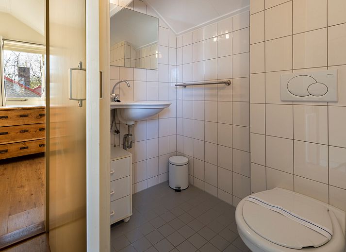 Detail of flowering plants on the terrace of Vakantiewoning Schouwse Duin 27 "l'Ancora" in Burgh-Haamstede, Zeeland.