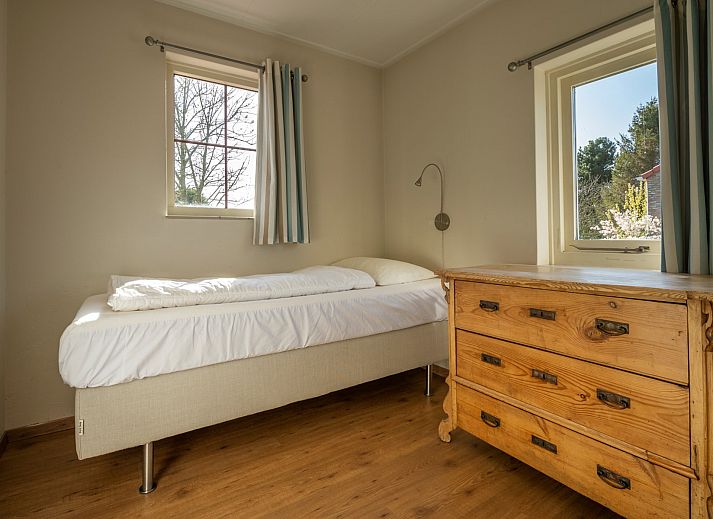 Detail of flowering plants on the terrace of Vakantiewoning Schouwse Duin 27 "l'Ancora" in Burgh-Haamstede, Zeeland.