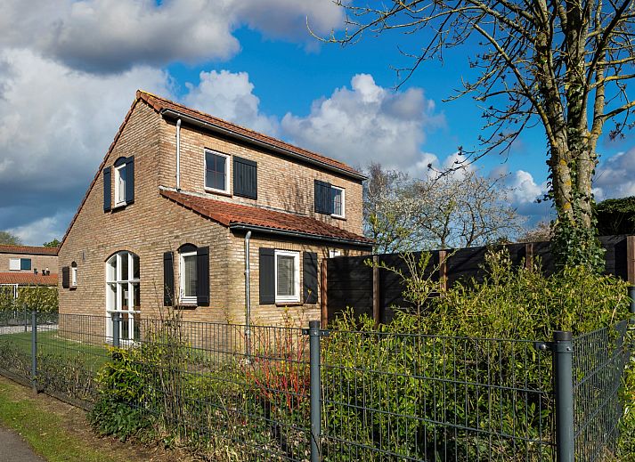 Detail of flowering plants on the terrace of Vakantiewoning Schouwse Duin 27 "l'Ancora" in Burgh-Haamstede, Zeeland.